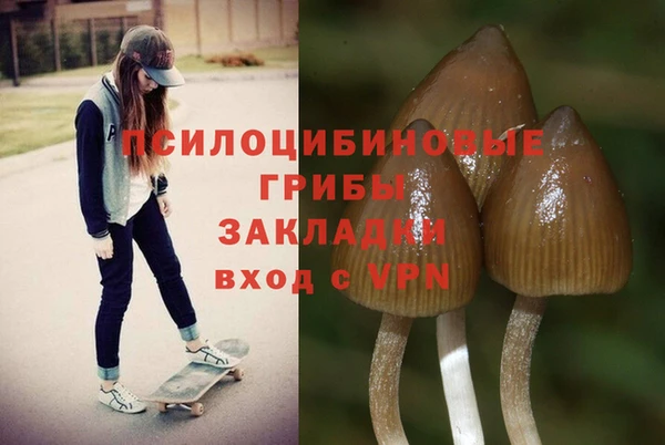 не бодяженный Кукмор