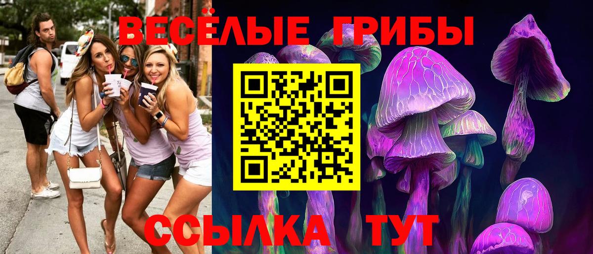 Ступино  Галлюциногенные грибы мицелий  Вход с VPN  Псилоцибиновые грибы MAGIC MUSHROOMS 